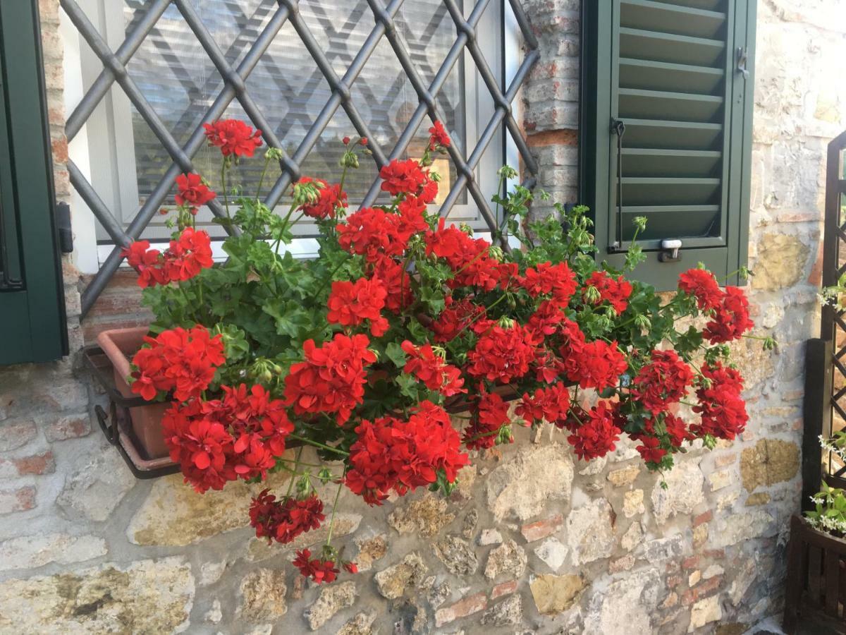 Casa Pietra Del Sole Villa ลุคคา ภายนอก รูปภาพ