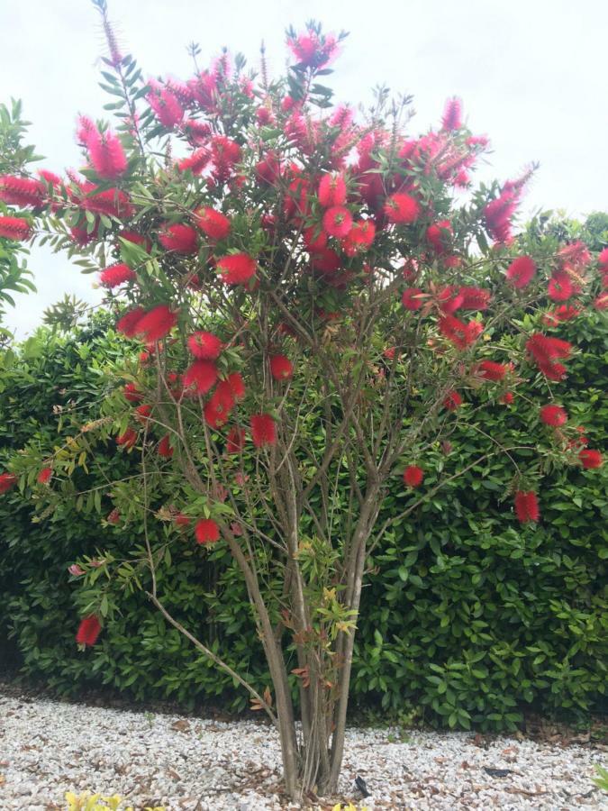 Casa Pietra Del Sole Villa ลุคคา ภายนอก รูปภาพ